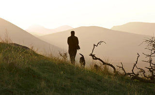A dog and owner walking in the countryside into the sun. 
