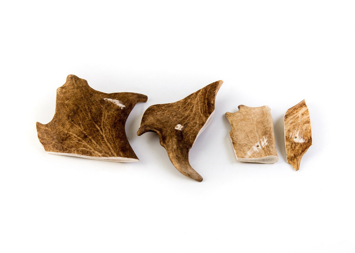 Selection of naturally Shed Fallow deer antlers.