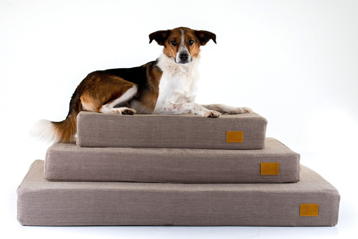 Orthopaedic Float dog waterbeds in brown herringbone made from organic materials with Collie.