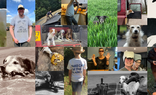 Itching for More: The Importance of Scratching That Entrepreneurial Itch (and How Your Dog Can Help!)