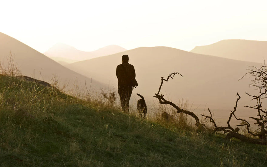 A dog and owner walking in the countryside into the sun. 