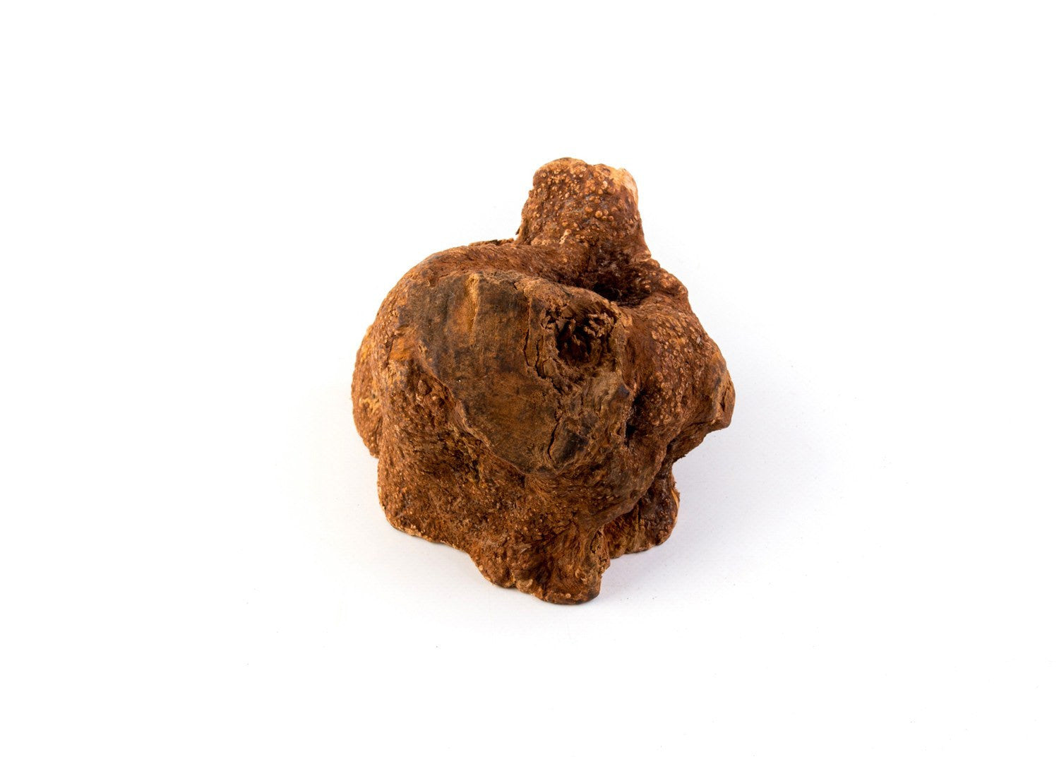 Natural Root Dog Chew – Hixx Ltd