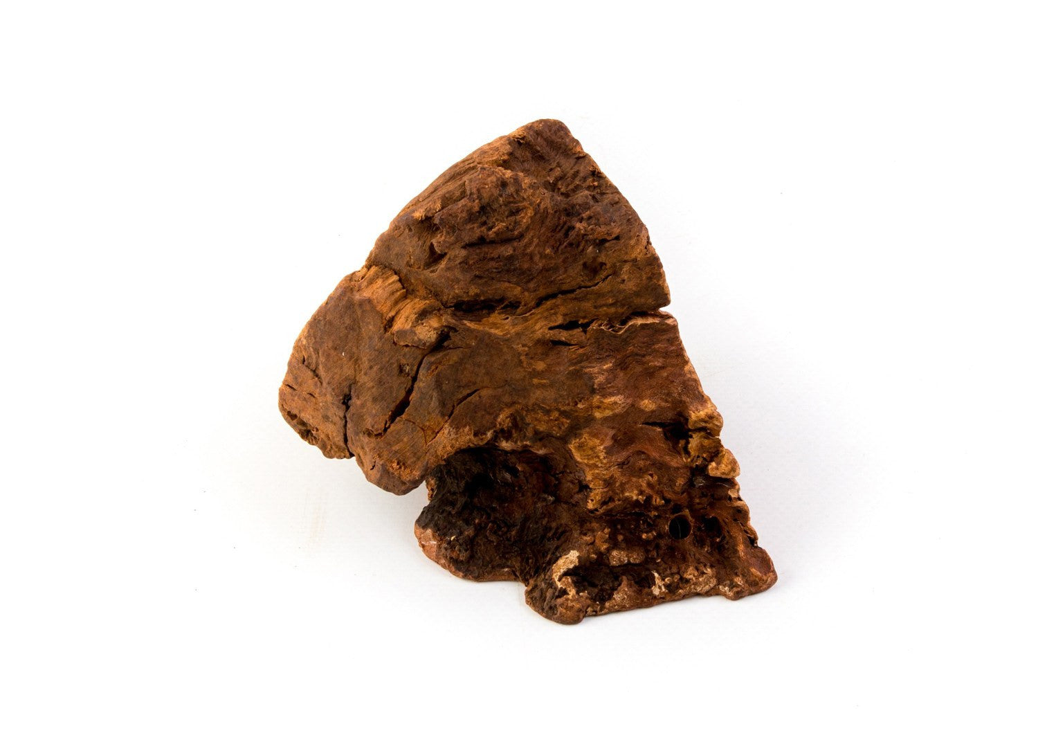 Natural Root Dog Chew – Hixx Ltd