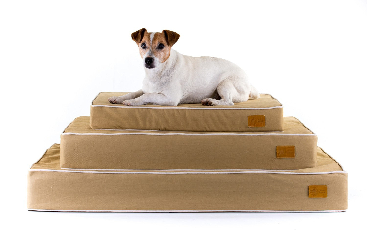 Jack Russell Terrier on cream and sand bull denim cotton stack of Classic Natural luxury dog beds. Made in Britain.  