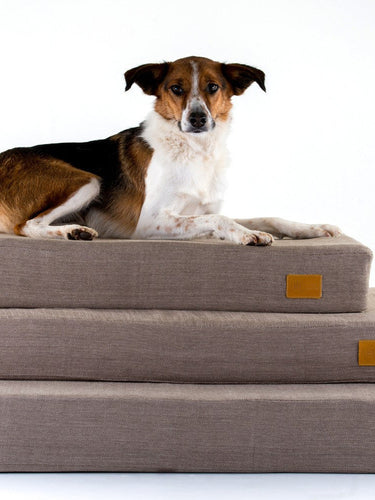 Orthopaedic Float dog waterbeds in brown herringbone made from organic materials with Collie.