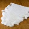 British White Breed clipped  Sheepskin 